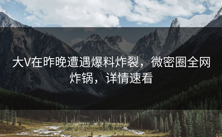 大V在昨晚遭遇爆料炸裂，微密圈全网炸锅，详情速看