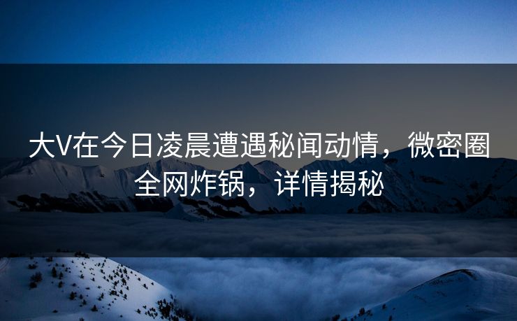 大V在今日凌晨遭遇秘闻动情，微密圈全网炸锅，详情揭秘
