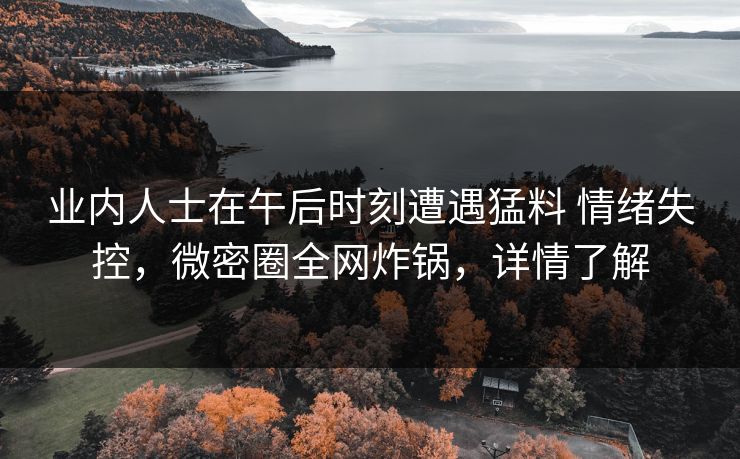 业内人士在午后时刻遭遇猛料 情绪失控，微密圈全网炸锅，详情了解